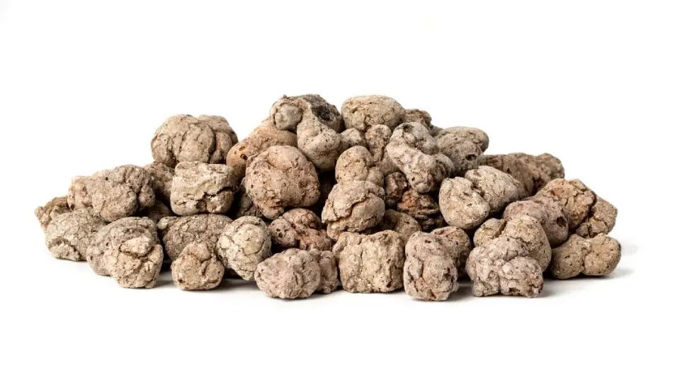 Budowa Domów Libiąż - MyQu.be